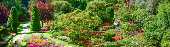 DU LỊCH BỜ TÂY CANADA | VANCOUVER – WHISTLER – VICTORIA | 7 Ngày 6 Đêm