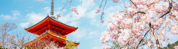 Nhật Bản | Mùa hoa anh đào | KOBE – OSAKA – KYOTO – FUJI – TOKYO | 5 Ngày 5 Đêm